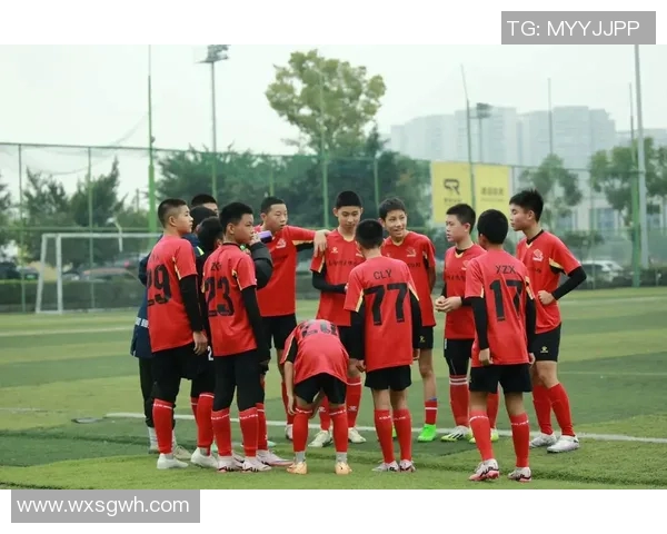 足球明星的魅力与成就如何影响全球青少年对足球的热爱与追求