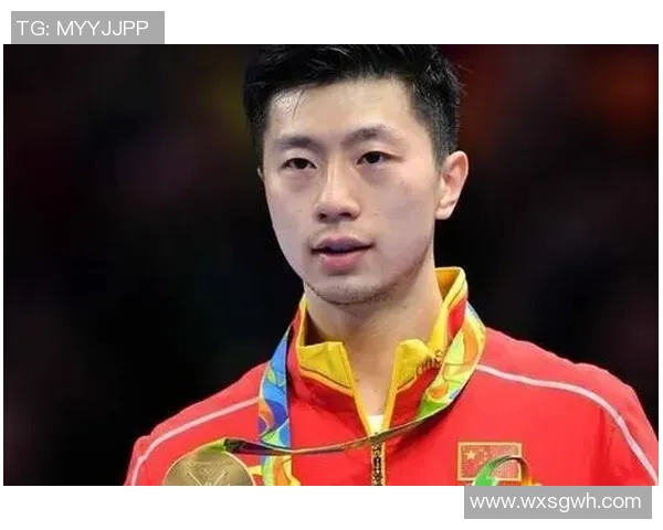 中国体育明星的奋斗历程与励志故事激励着无数年轻人追逐梦想