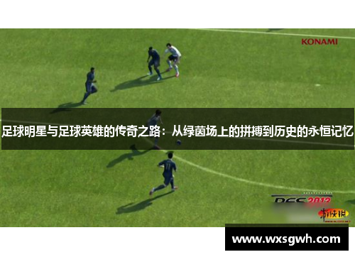 足球明星与足球英雄的传奇之路：从绿茵场上的拼搏到历史的永恒记忆