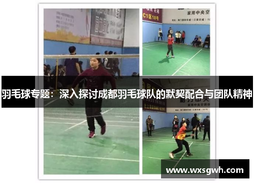 羽毛球专题：深入探讨成都羽毛球队的默契配合与团队精神