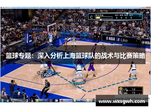 篮球专题：深入分析上海篮球队的战术与比赛策略
