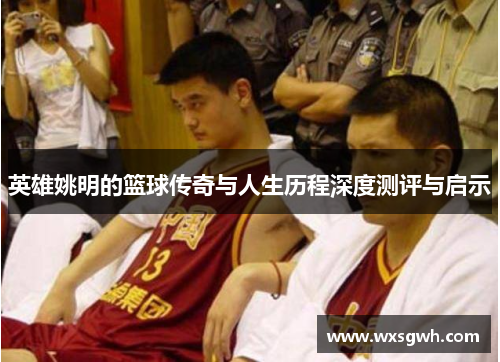 英雄姚明的篮球传奇与人生历程深度测评与启示